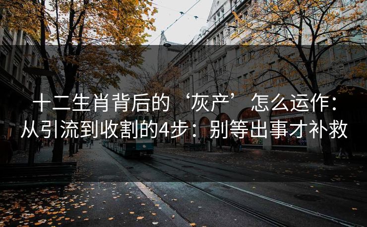 十二生肖背后的‘灰产’怎么运作：从引流到收割的4步：别等出事才补救