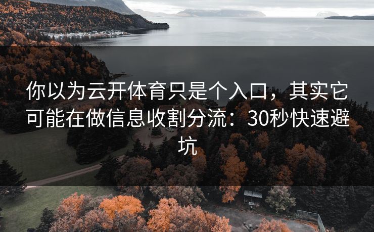 你以为云开体育只是个入口，其实它可能在做信息收割分流：30秒快速避坑