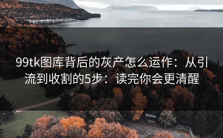 99tk图库背后的灰产怎么运作：从引流到收割的5步：读完你会更清醒