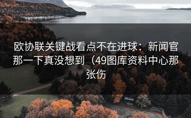 欧协联关键战看点不在进球：新闻官那一下真没想到（49图库资料中心那张伤